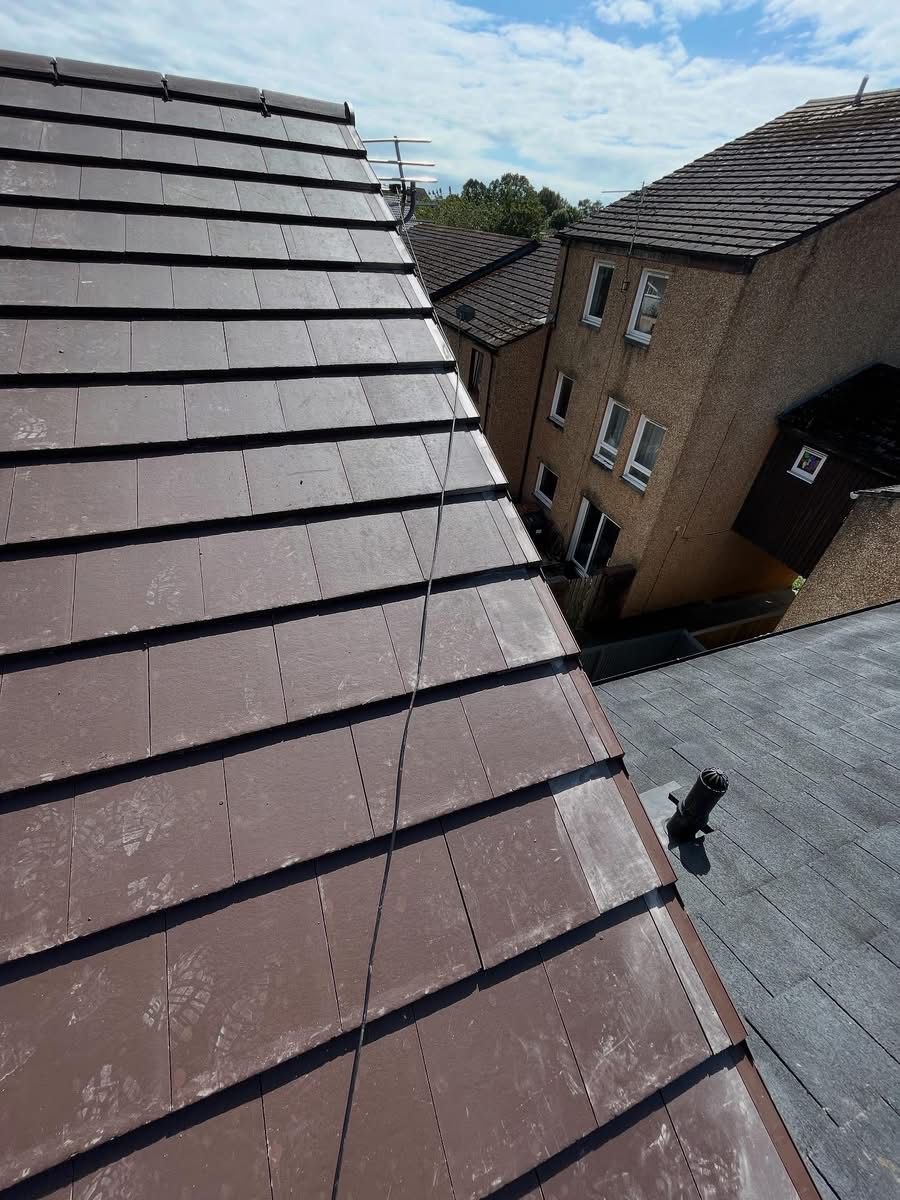 082d879d-d847-4da3-9005-1d1233e1c105