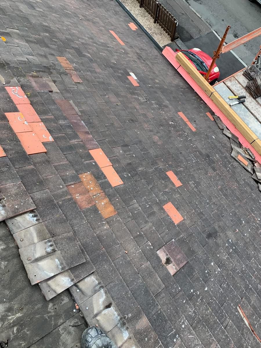 d23624cd-44b6-454f-bbbc-c73a6acf1bde